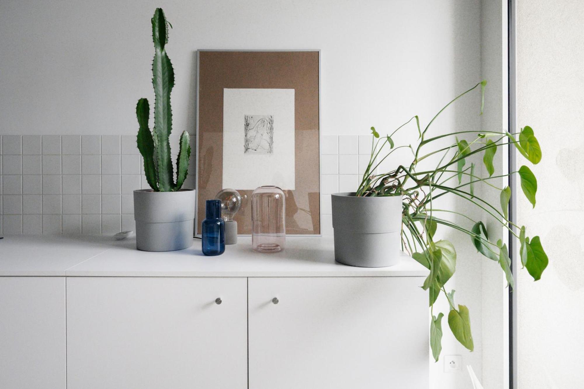 Stylish Apartment With A View Of Blue Church Bratislava Exteriér fotografie